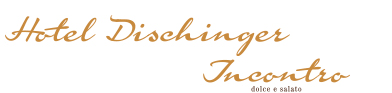 Logo Dischinger